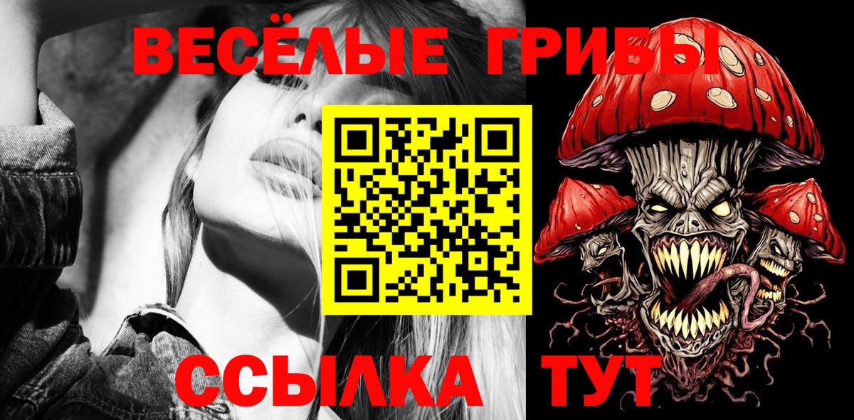 Псилоцибиновые грибы Psilocybe  Вход с VPN  Галлюциногенные грибы мицелий  Заринск 